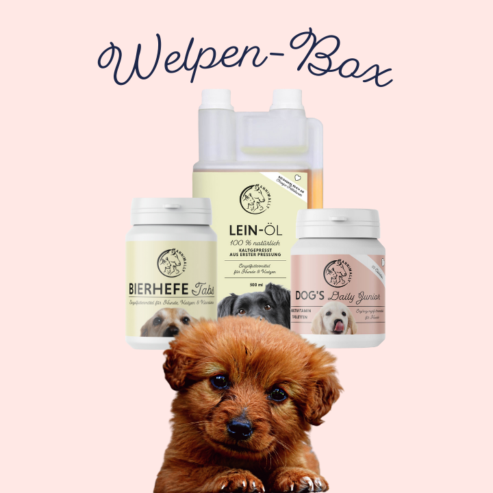 Welpen-Box