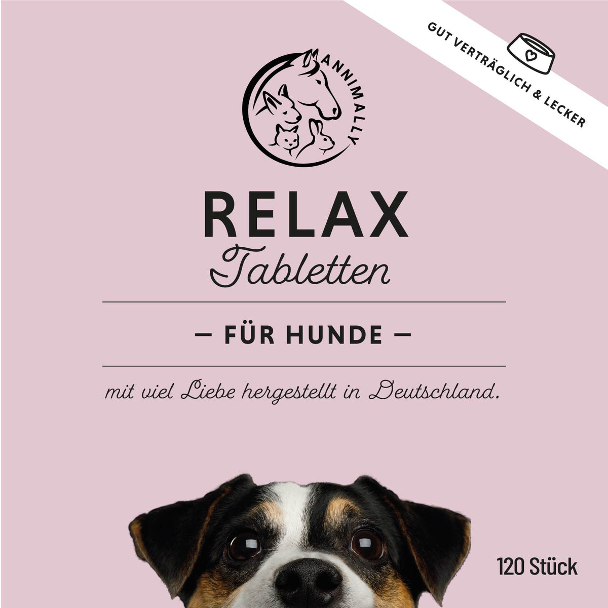 Winter-Box für die kalte Jahreszeit – Set mit Nahrungsergänzungsmitteln für Hunde