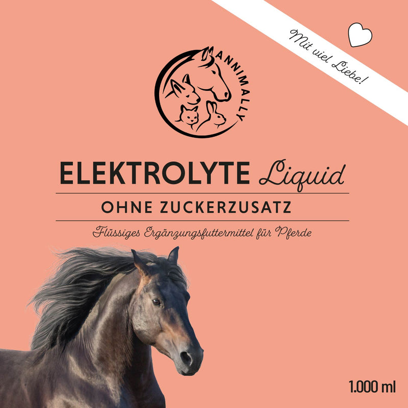 Electrolyte liquid