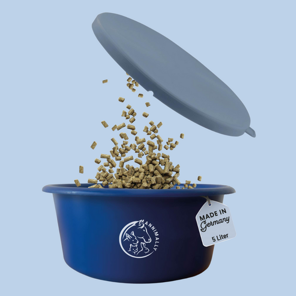 food bowl