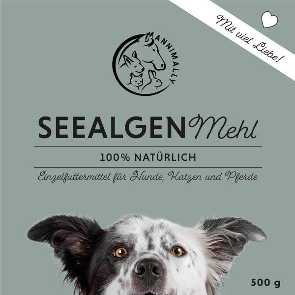 Seealgenmehl