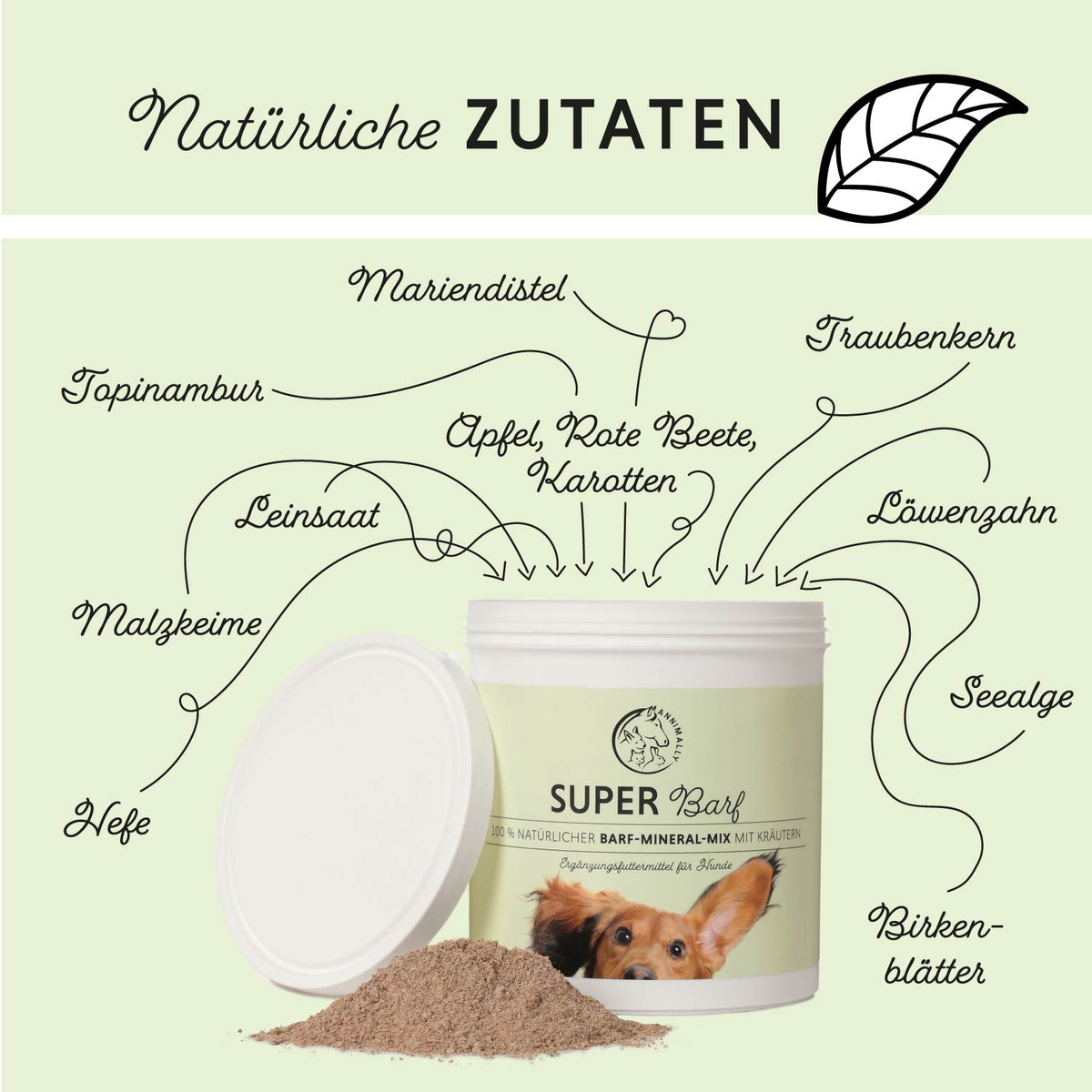 Barf-Box für Hunde & Katzen – Vorteilsbox mit Futterergänzungen von Annimally