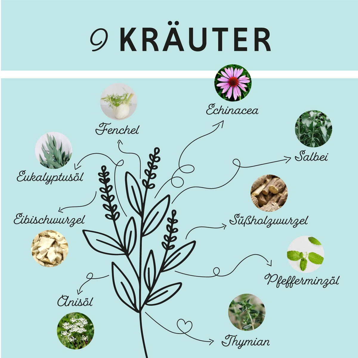 Bronchial Liquid für freie Atemwege – Futtertopping für Pferde