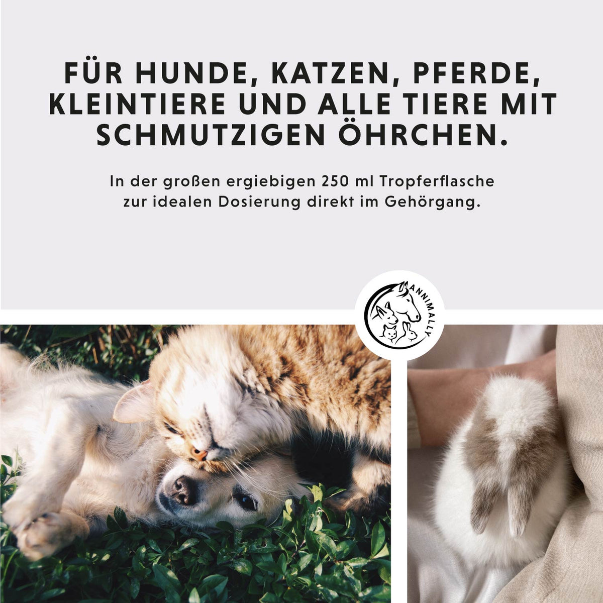 Care-Box für Hunde, Katzen & Pferde für Ohren, Augen & Fell – Pflegebox von Annimally