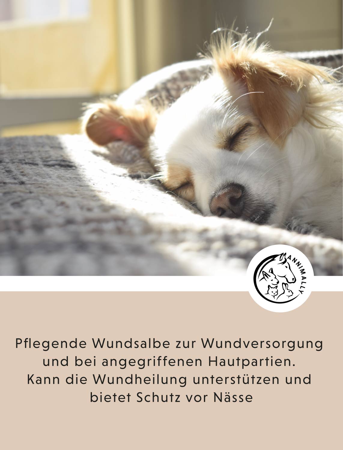 Care-Box für Hunde, Katzen & Pferde für Ohren, Augen & Fell – Set mit Pflegeprodukten von Annimally