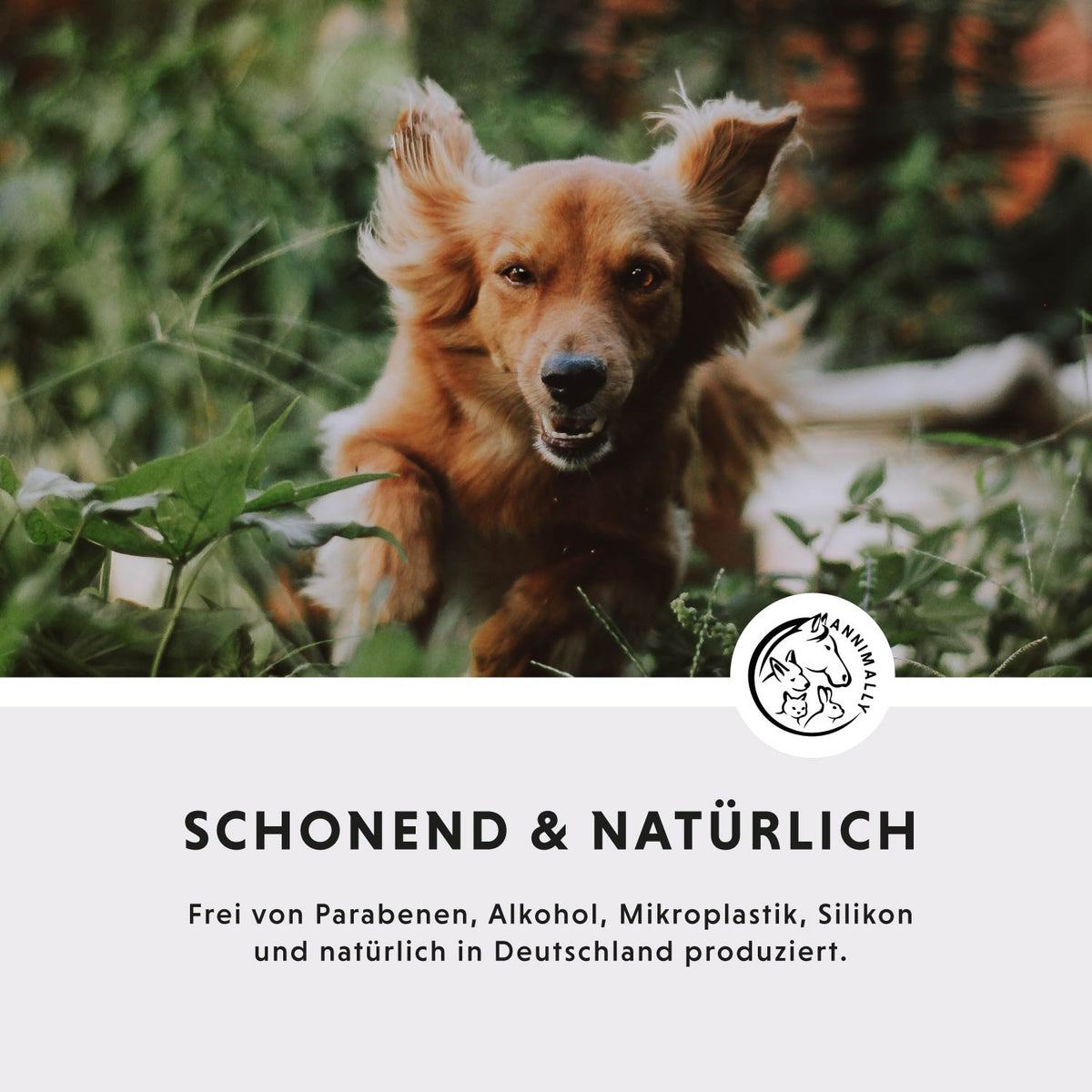 Care-Box für Ohren, Augen & Fell – Set mit Pflegeprodukten für Hunde, Katzen & Pferde