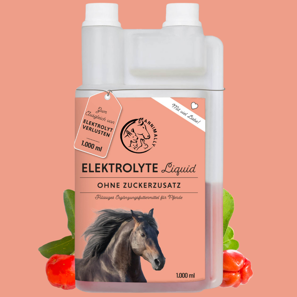 Elektrolyte Liquid für Pferde – Nahrungsergänzungsmittel für den Mineralhaushalt | Annimally
