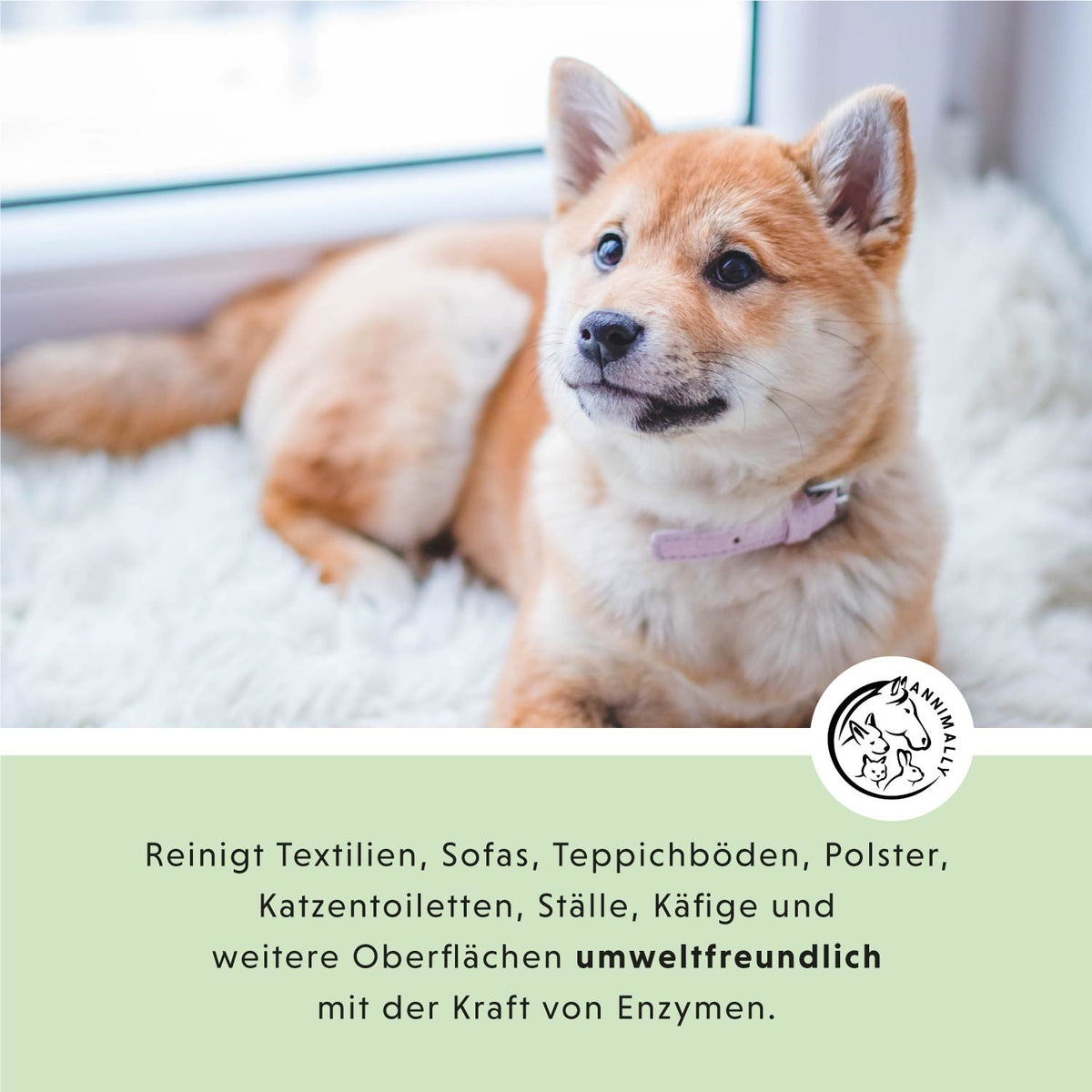 Hoppala Spray als Enzymreiniger gegen Urin & Gerüche – Pflegeprodukt für Hunde, Katzen & Kleintiere