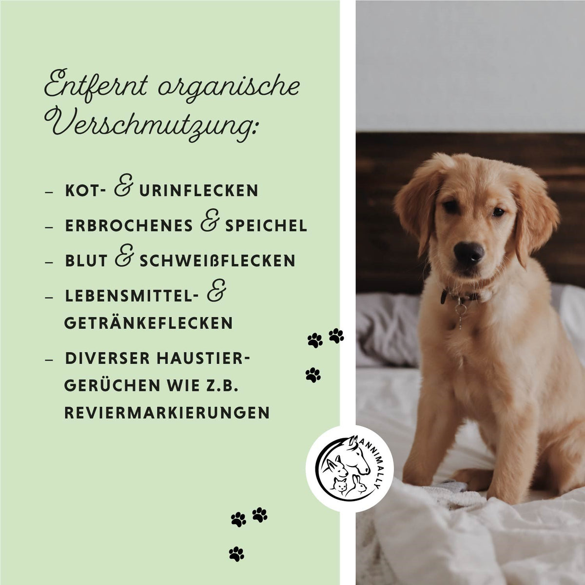 Hoppala Spray für Hunde, Katzen & Kleintiere – natürliche Pflege als Enzymreiniger gegen Urin & Gerüche | Annimally
