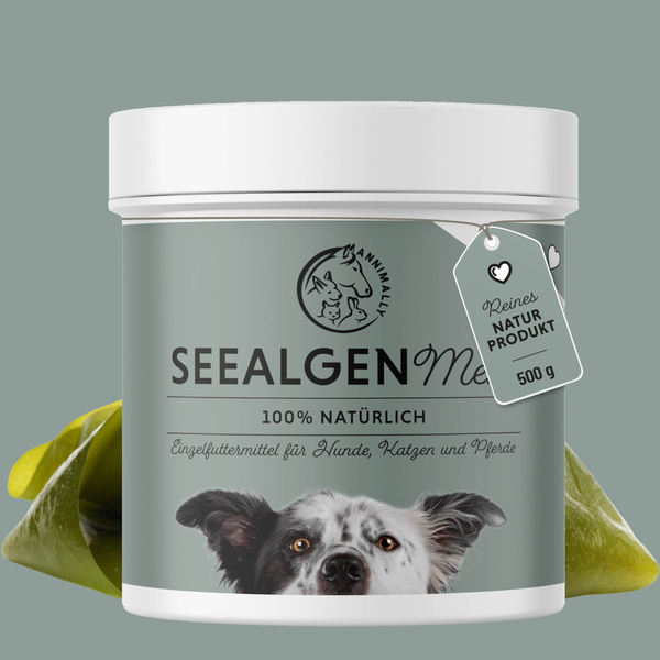 Seealgenmehl
