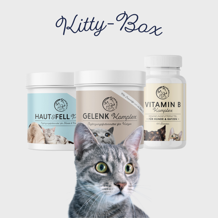 Kitty-Box für Gelenke & Wohlbefinden – Set mit Nahrungsergänzungsmitteln von Annimally
