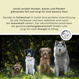 Welpen-Box