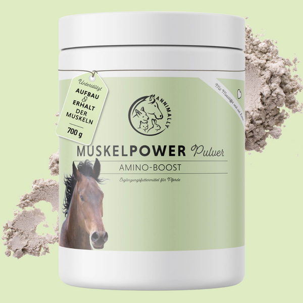 Muscle Power Powder
