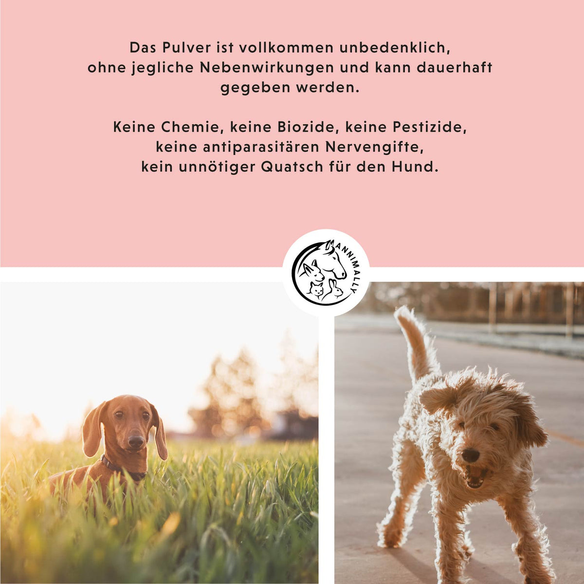 Natur-Box von Annimally – Vorteilsbox mit Futterergänzungen für Hunde