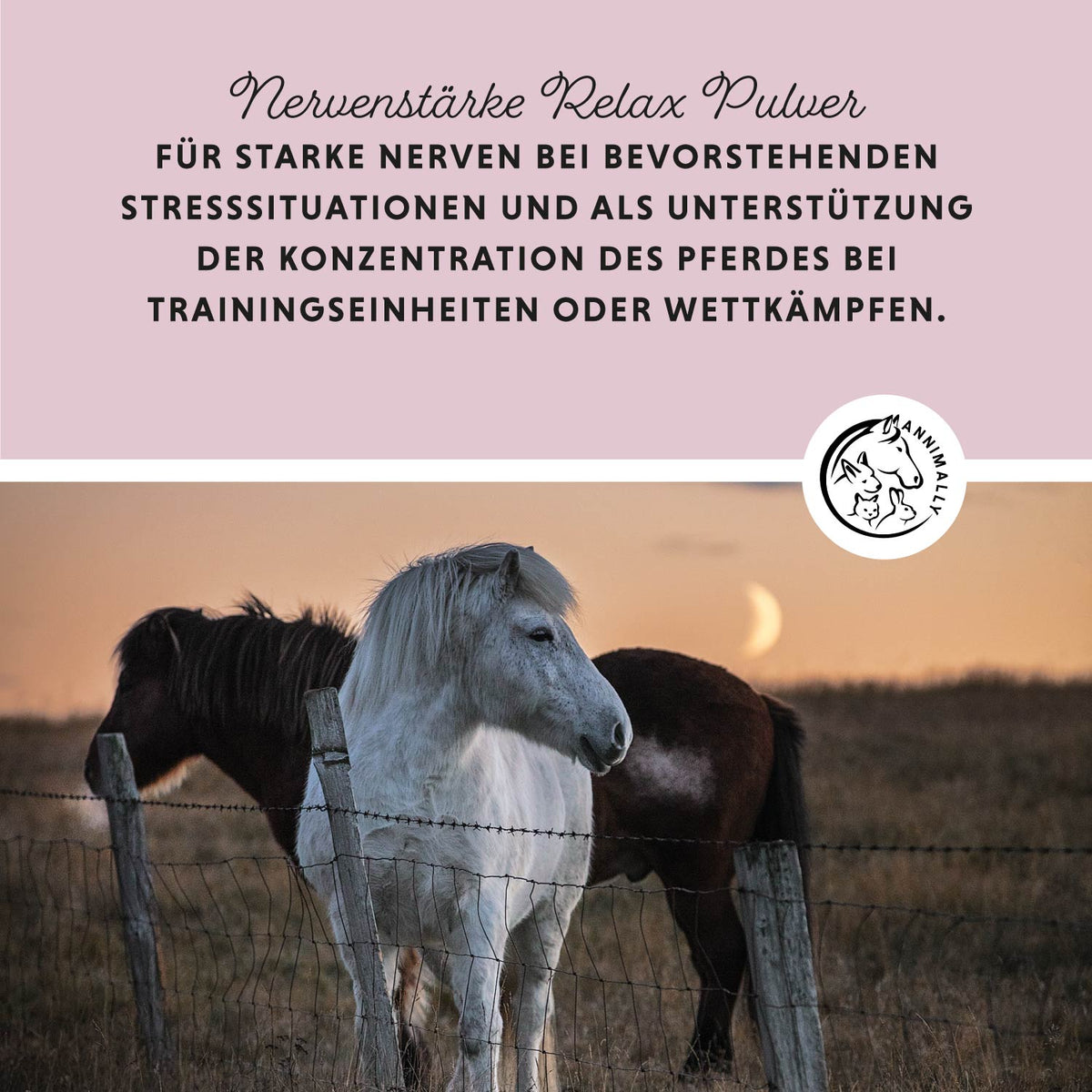 Nervenstärke Relax Pulver – Futterzusatz für Pferde