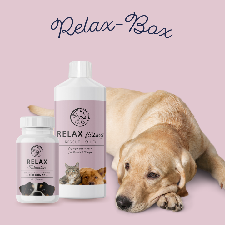 Relax-Box für Hunde zur natürlichen Beruhigung – Set mit Nahrungsergänzungsmitteln von Annimally