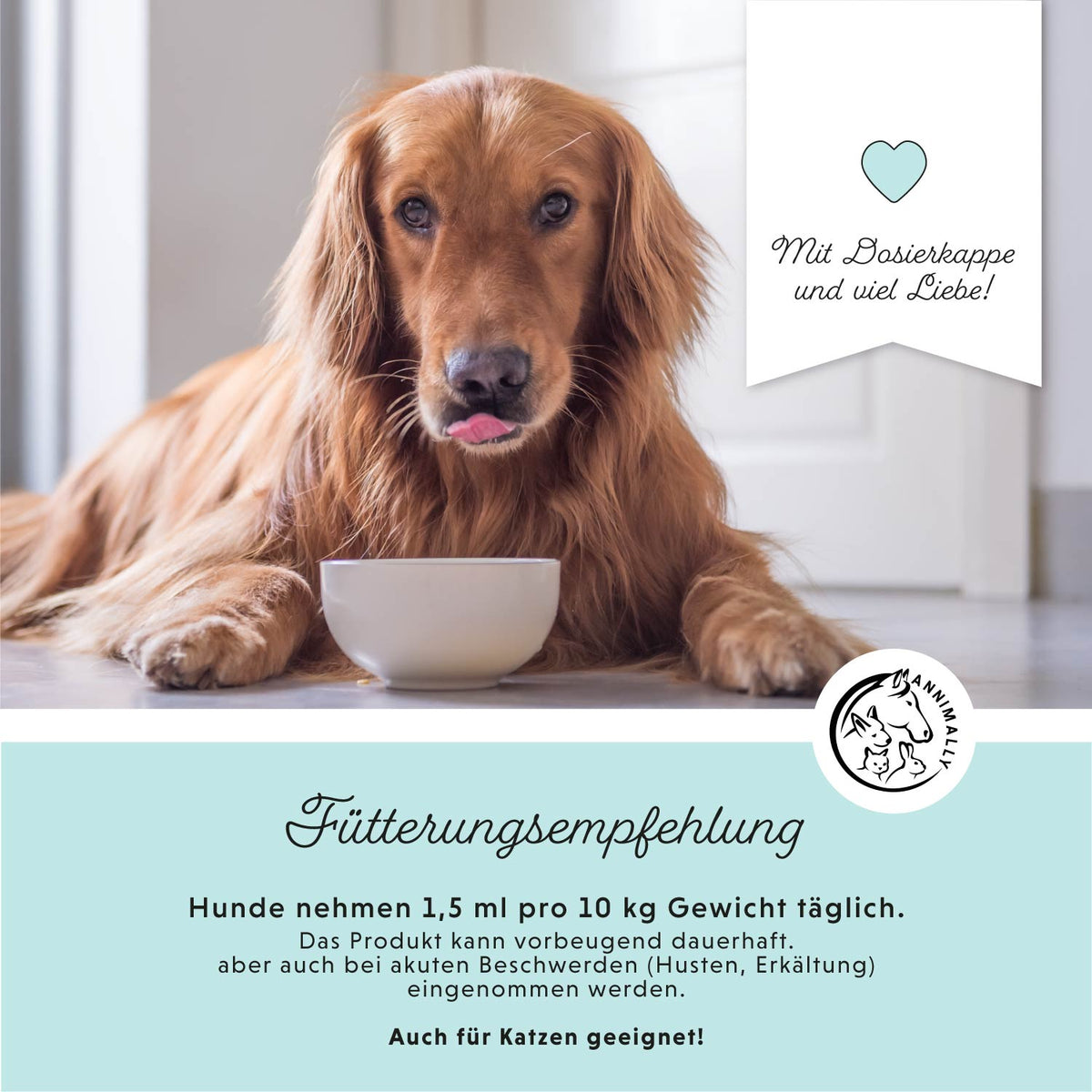 Set mit Futterzusätzen für Hunde: Winter-Box für die kalte Jahreszeit