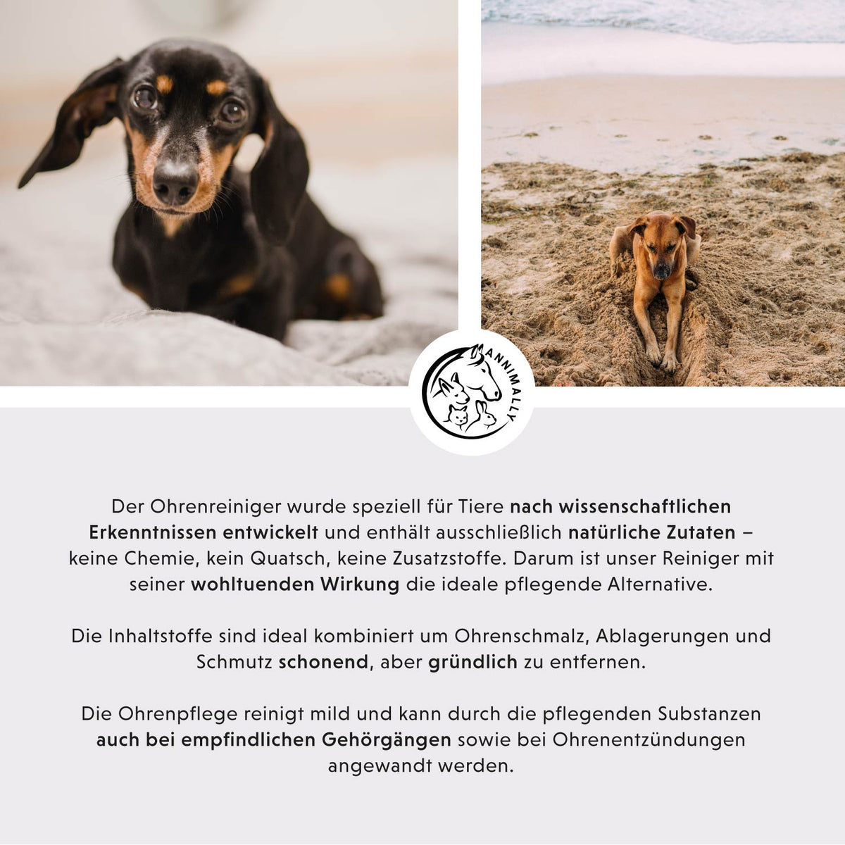 Set mit Pflegeprodukten für Hunde, Katzen & Pferde: Care-Box für Ohren, Augen & Fell