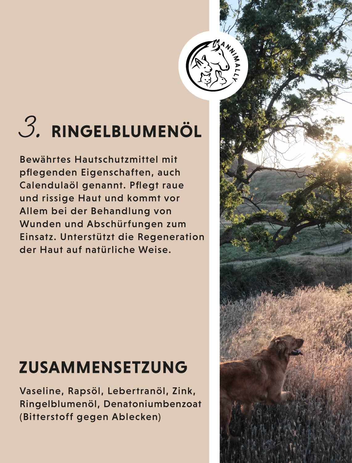 Tierpflege für Hunde: Aua-Balsam Plus zur Wundpflege