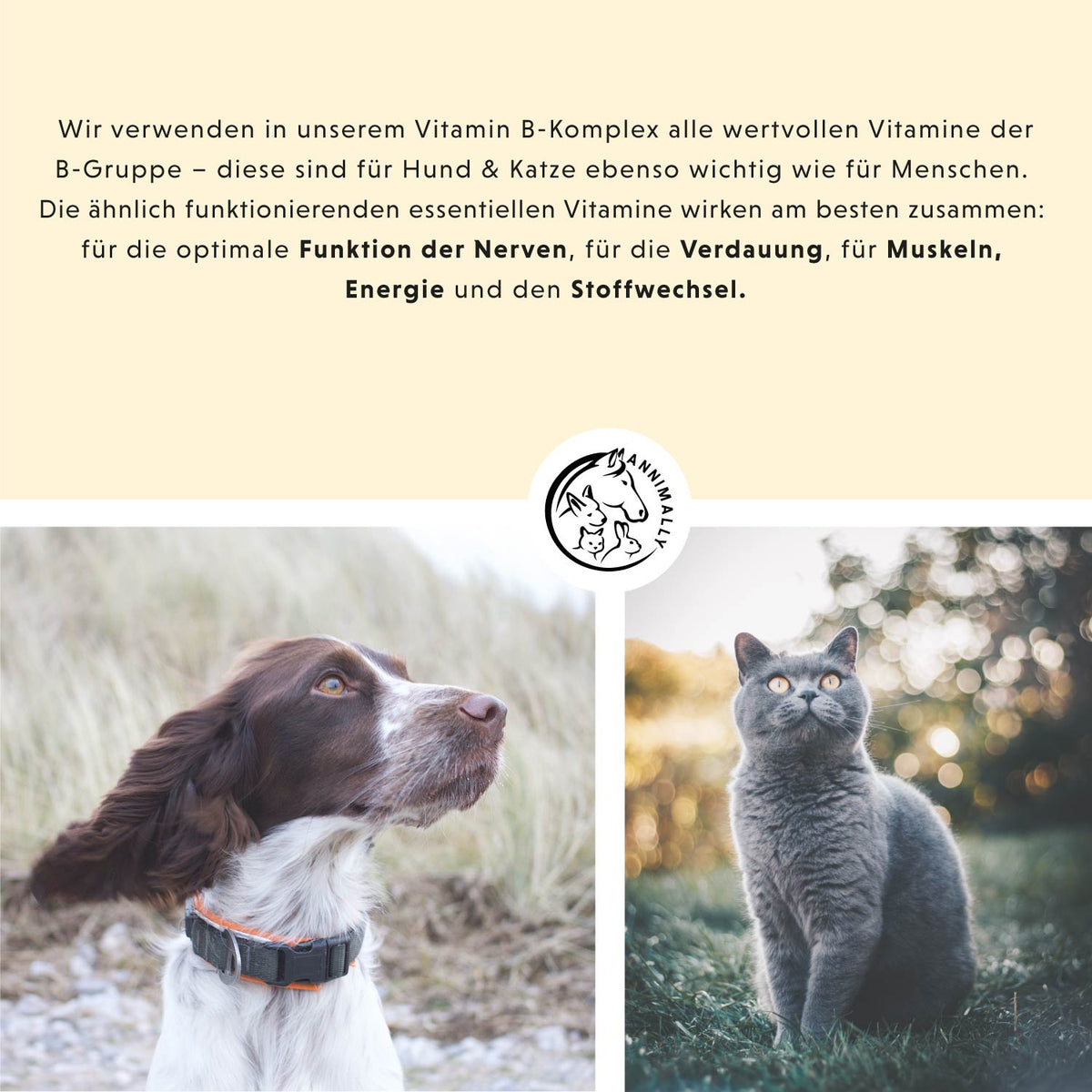 Vitamin B Komplex von Annimally für Stoffwechsel & Nerven – Futtertopping für Hunde & Katzen