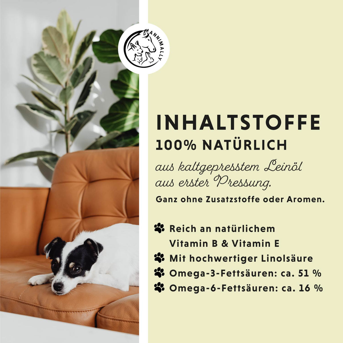 Welpen-Box für die gesunde Entwicklung – Set mit Futterzusätzen von Annimally